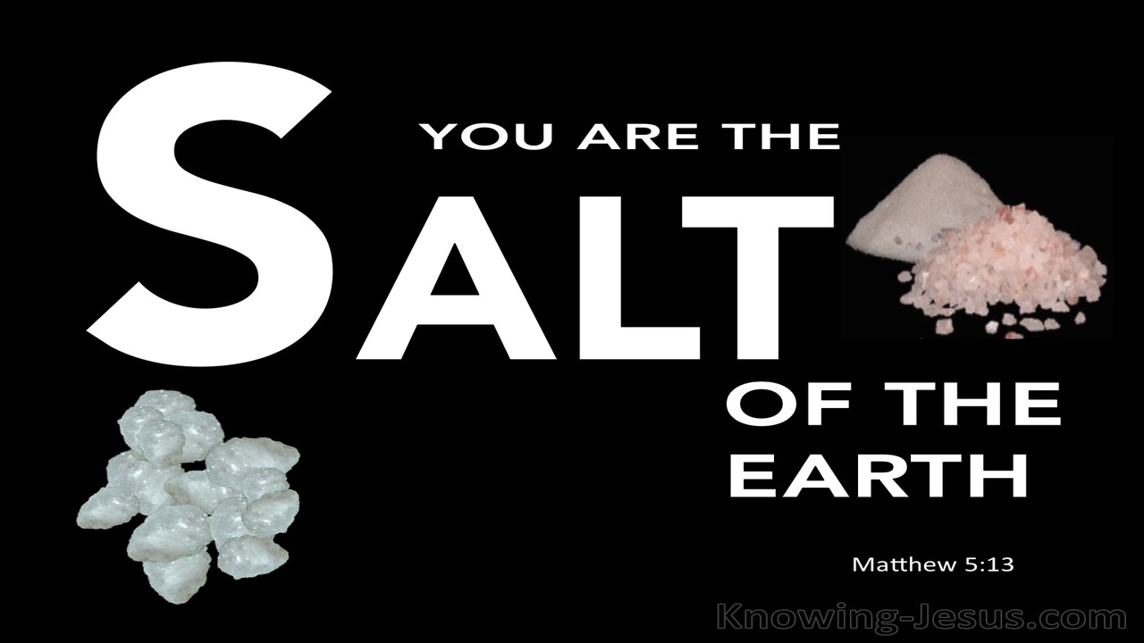Matthew 5:13 You Are The Salt Of The Earth (white)